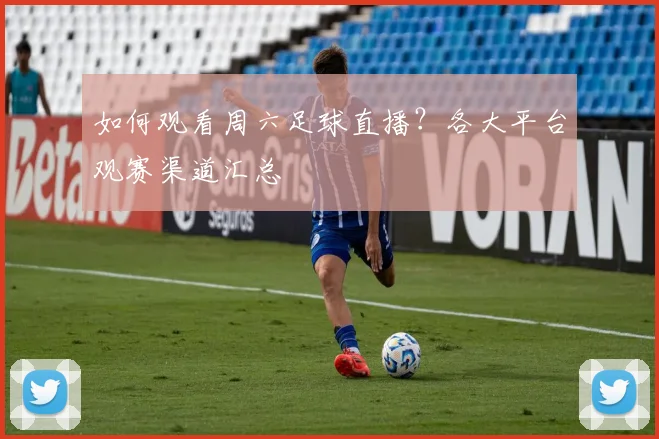 如何观看周六足球直播?各大平台观赛渠道汇总