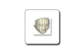 SketchUp模型出现破面怎么办：共面与反面问题排查